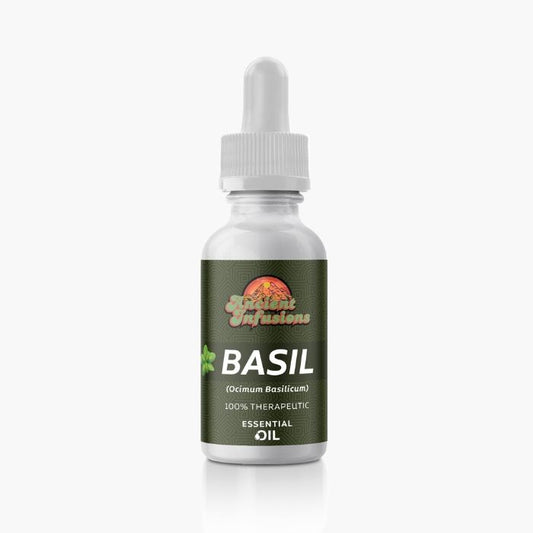 Experience the Aromatic Bliss of Ancient Infusions Sweet Basil Essential Oil - Aromatherapy Elixir for Serenity and Wellness.