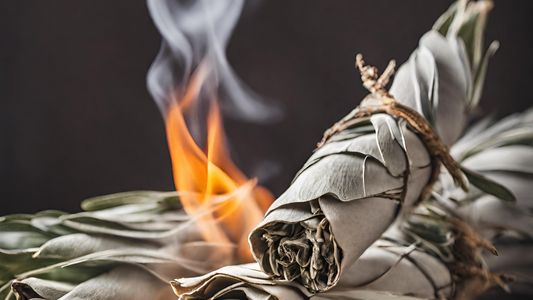 Cleansing Energies: Spiritual Significance of Native White Sage Smudge, Purification.