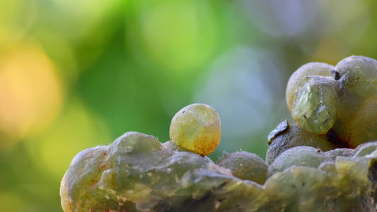 Prehnite Crystal Properties: Emotional Balance, Spiritual Growth, Stress Relief, Healing.