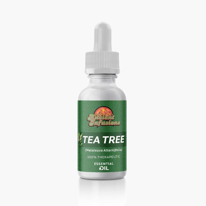 Ancient Infusions Therapeutic Grade Tea Tree (AAA Australian) Oil Label - Pure & Immune-Supporting Wellness.