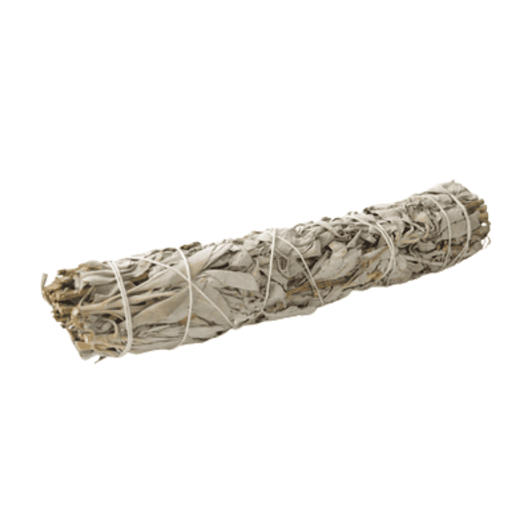 Explore the Power of 8-inch California White Sage Smudge Stick by Ancient Infusions - Ideal for Spiritual Cleansing.