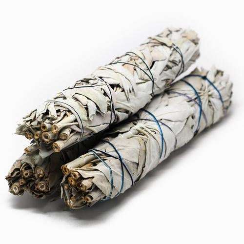 White Sage Smudge Stick for Energy Cleansing and Traditional Rituals.