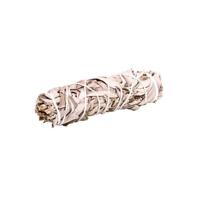 White Sage Smudge Stick for Spiritual Use - Purifying and Calming Rituals.